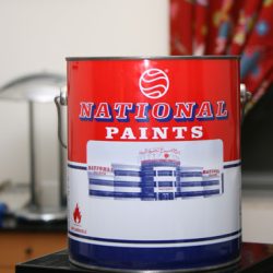 National Paint 1